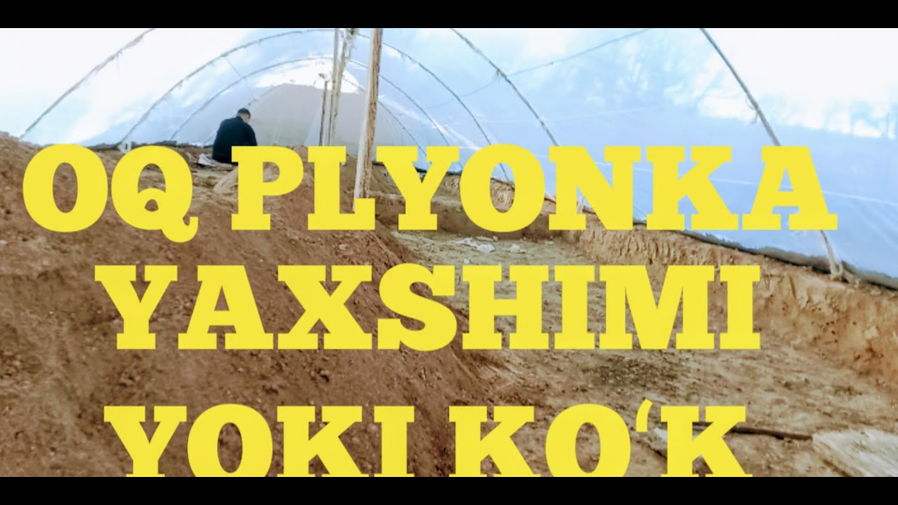 OQ PLYONKA YAXSHIMI KOʻK PLYONKA YAXSHIMI