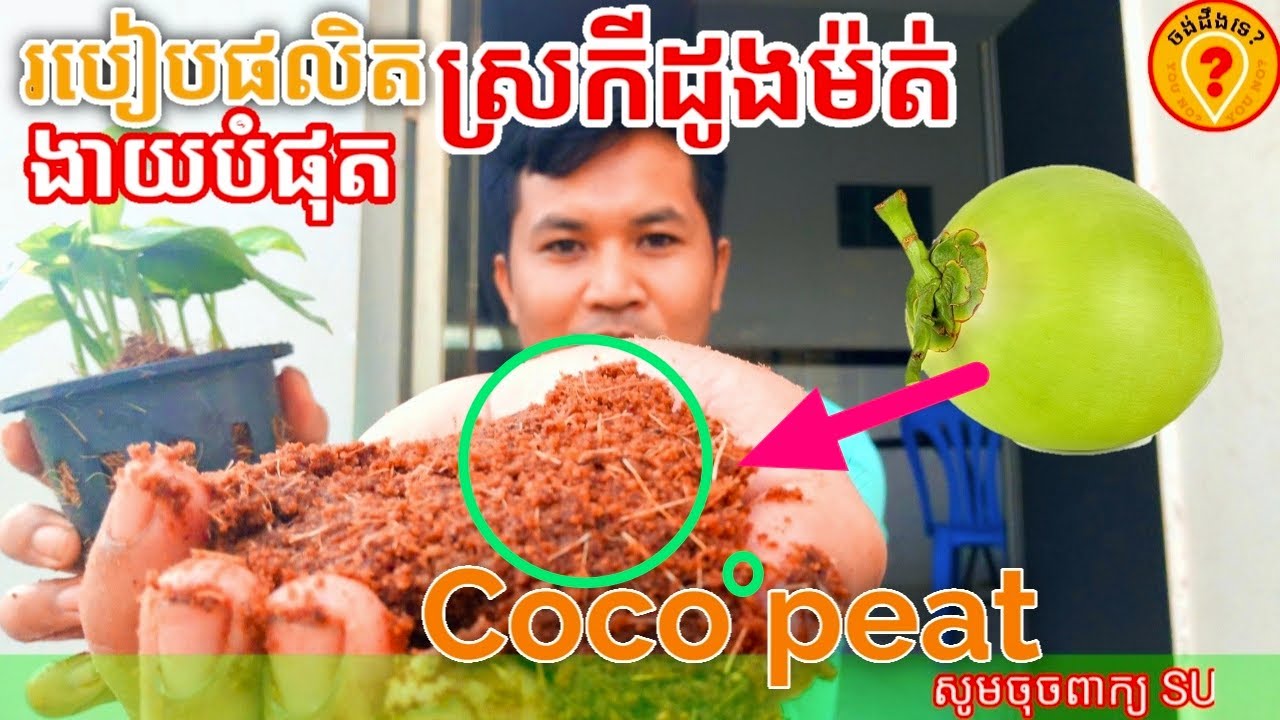 របៀបផលិតស្រកីដូងម៉ត់ងាយៗដោយខ្លួនឯង វិធីធ្វើស្រកីដូងហ្មត់ How to make coco peat at home