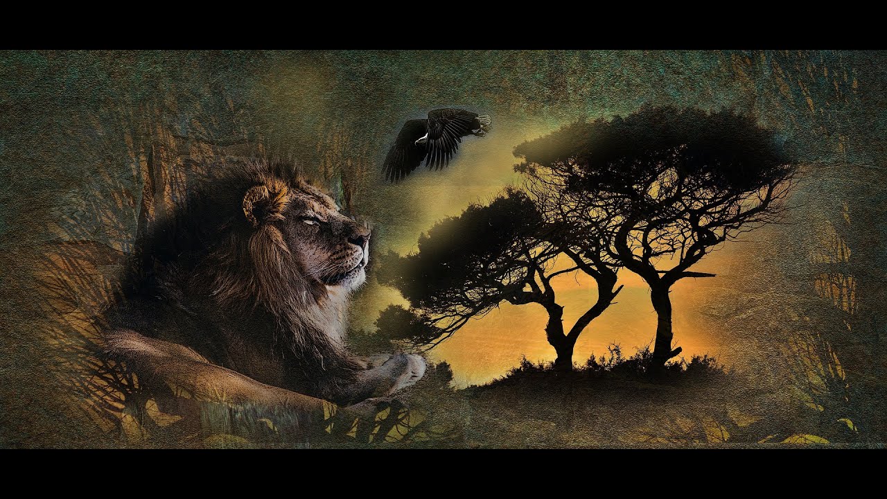 Leo March 2019- Open up your heart! Someone coming to speak their truth!