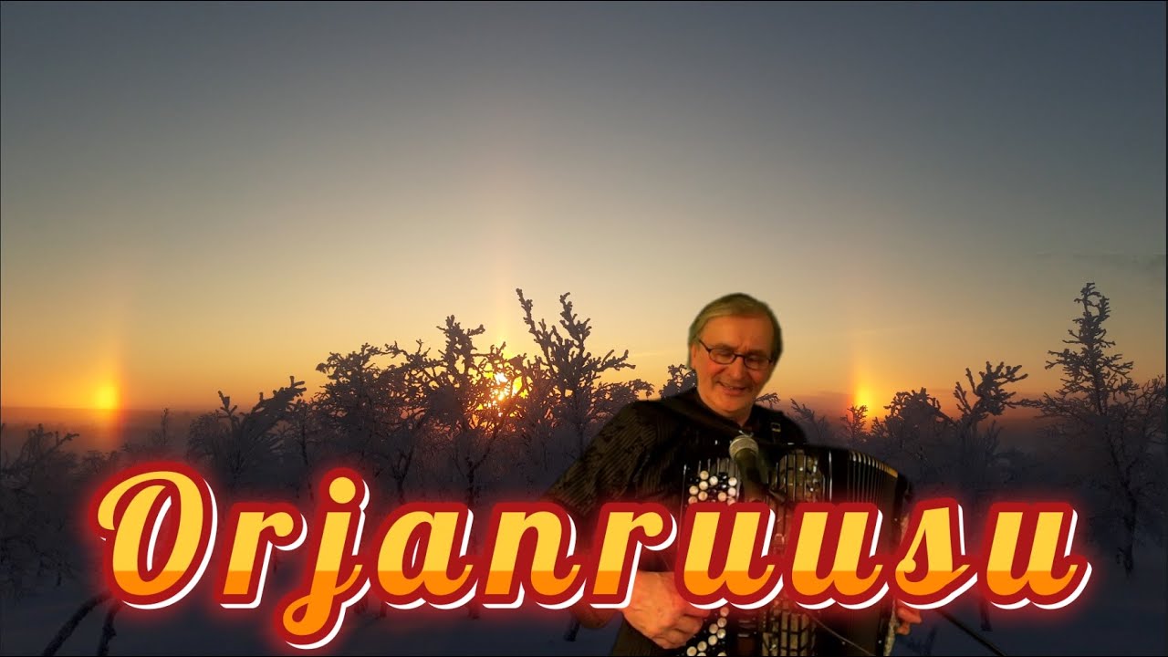 Orjanruusu