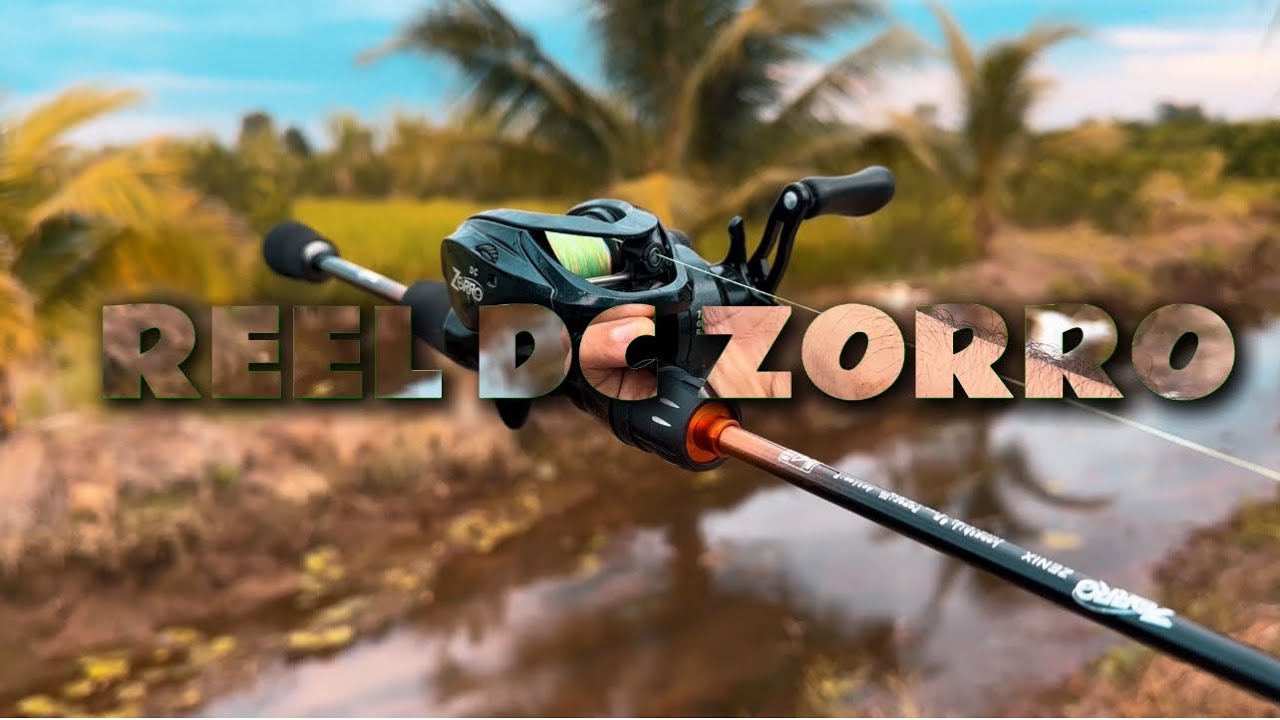 REEL DC ZORRO BUNYI ZING MEMBUAT IKAN GABUS MENDEKAT ‼️‼️‼️