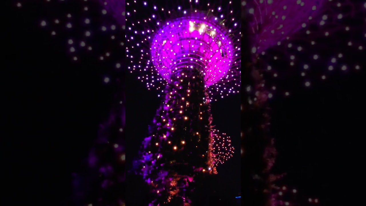 Supertree Grove The Gardens by the Bay light show Singapore シンガポール　ガーデンズ・バイ・ザ・ベイ　ナイトショー