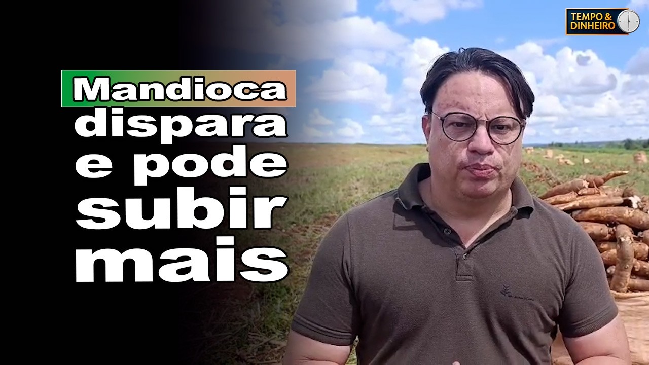 Mandioca entra em nova fase de preço, oferta curta pode explodir valores?