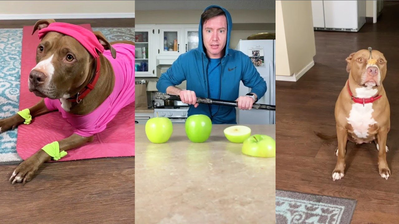 Funny Robby and Penny Tik Tok  Compilation 2020 | Clean Tik Tok