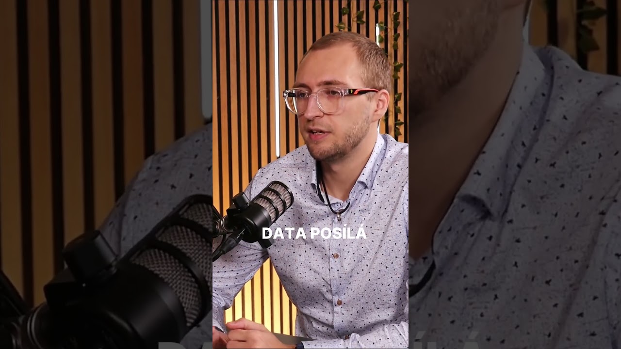 Jak u fotovoltaiky funguje chytr&aacute; ř&iacute;d&iacute;c&iacute; jednotka SunBerry?