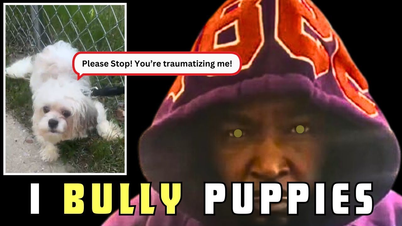 Umar Johnson Traumatizes Puppy In Front Of FDMG Bandos!!!  WOW!!!