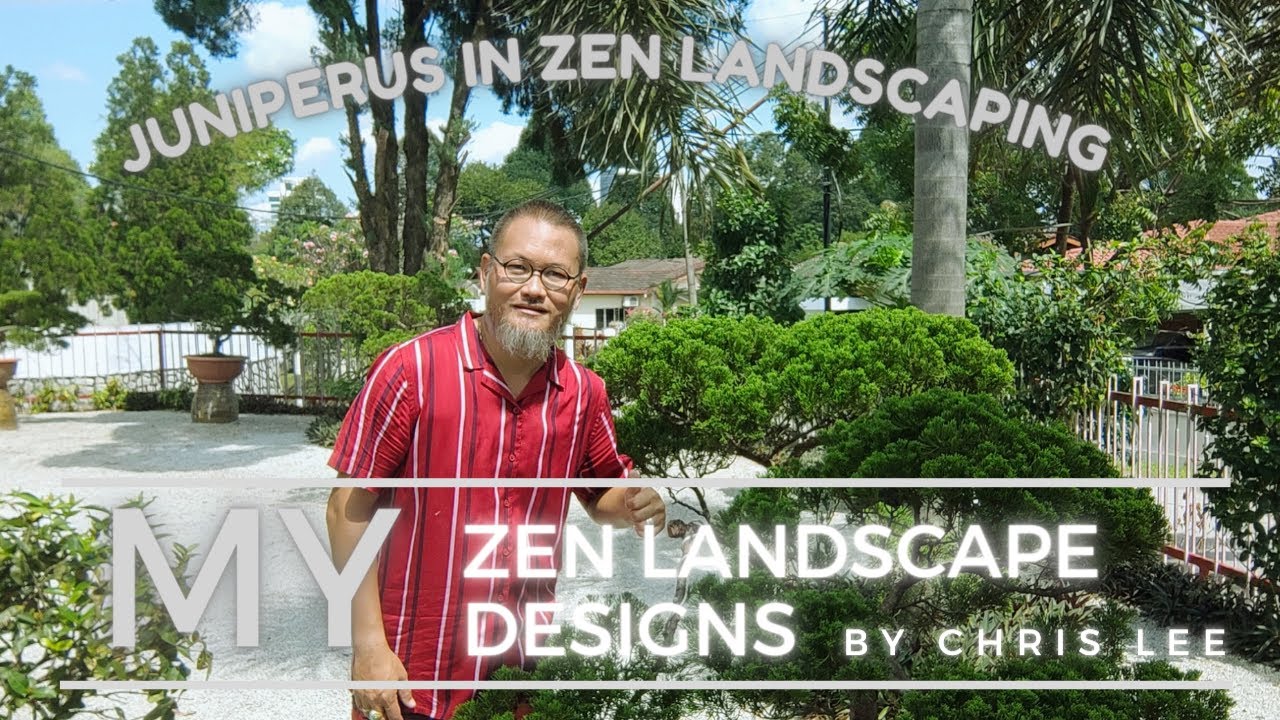 Transform Your Zen Garden with Juniperus: A Designer’s Secret