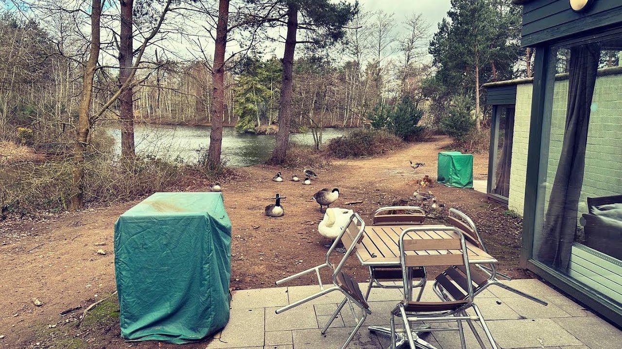 Center Parcs - Sherwood Forest - March 2023