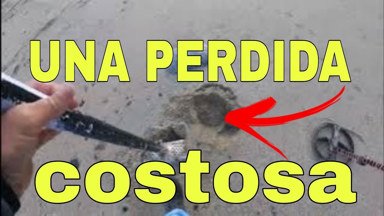 ALGUEN GASTO MUCHA PLATA POR ESTA PERDIDA!