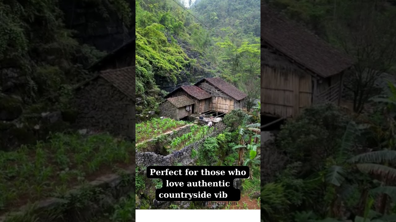 Hidden Paradise: A Forest House in Rural Life  #nature #hiking  #vietnamadventures