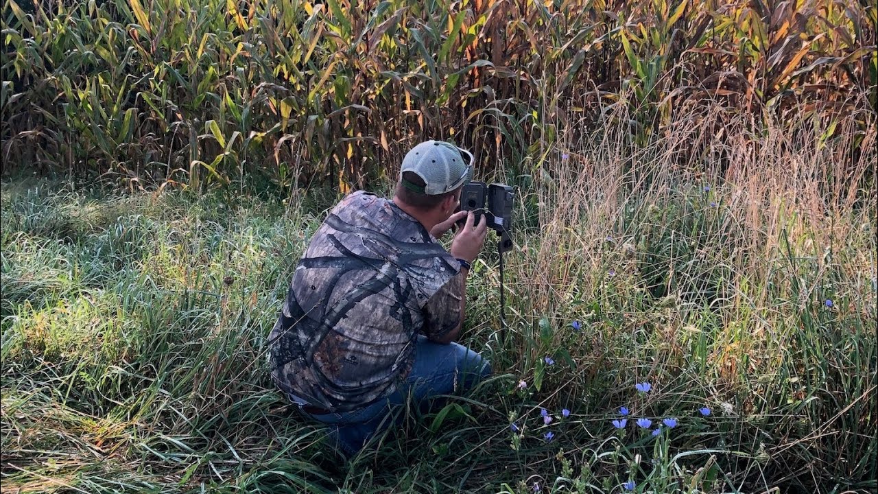 POOR MAN FOOD PLOT IN 7 STEPS