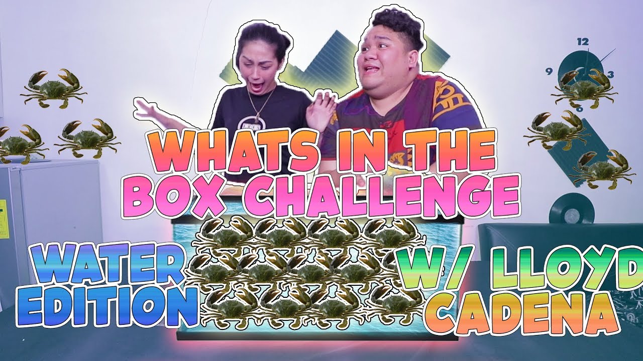WHAT'S IN THE BOX CHALLENGE *WATER EDITION FT. LLOYD CADENA | ZEINAB HARAKE