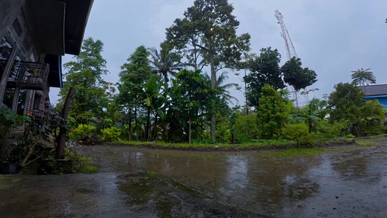 Rain Calm 🌧️ Let the Day Slow Down | Smooth Rain White Noise | No Ads