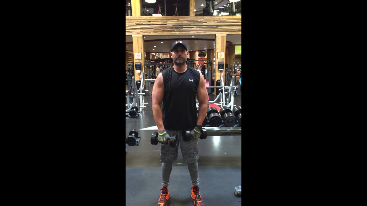 Alea Dumbbell or Barbell Front Raises TR