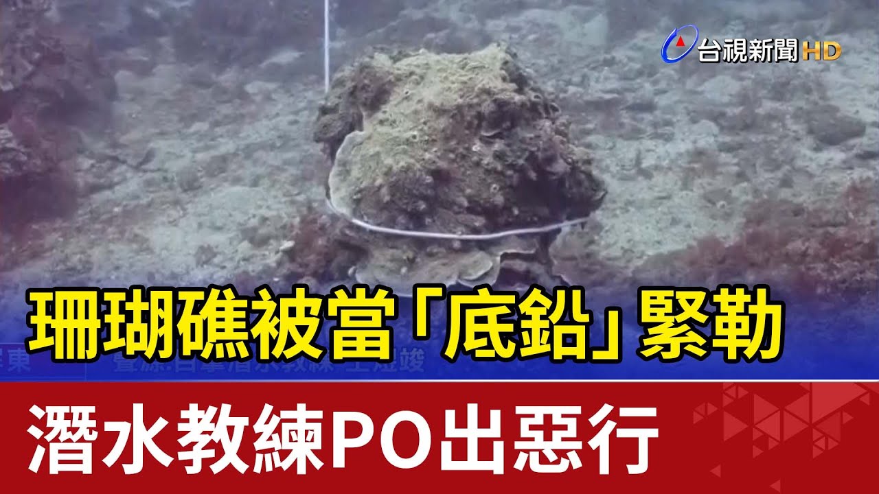 珊瑚礁被當「底鉛」緊勒 潛水教練PO出惡行
