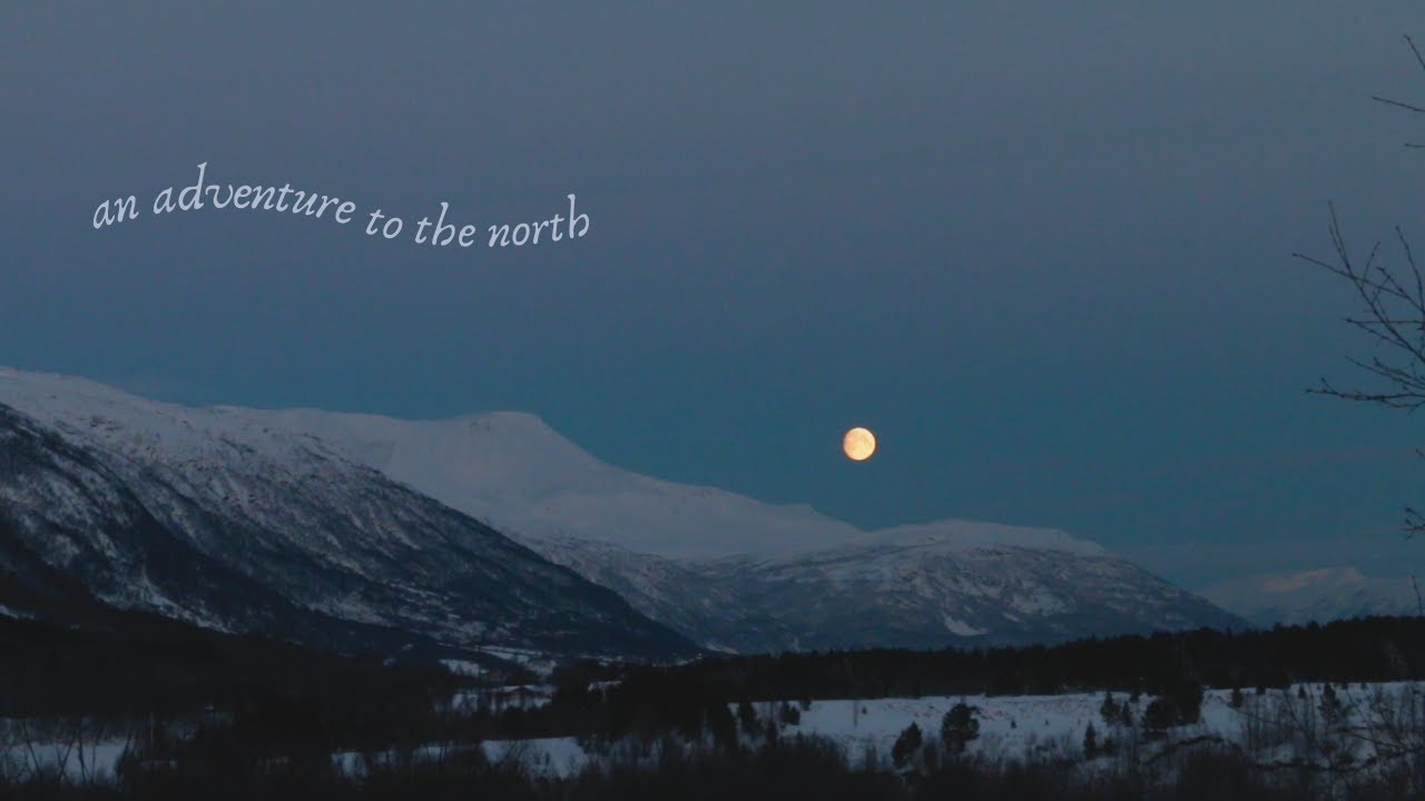 an adventure to the north