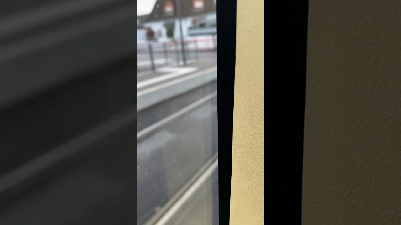 Stra&szlig;enbahn Karlsruhe Linie 3:Eckenerstra&szlig;e - Daxlanden Waidweg