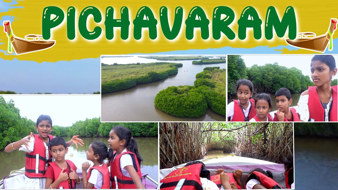World's 2nd Largest Mangrove Forest 🌲 | Pichavaram Vlog 🚣 | ini's galataas