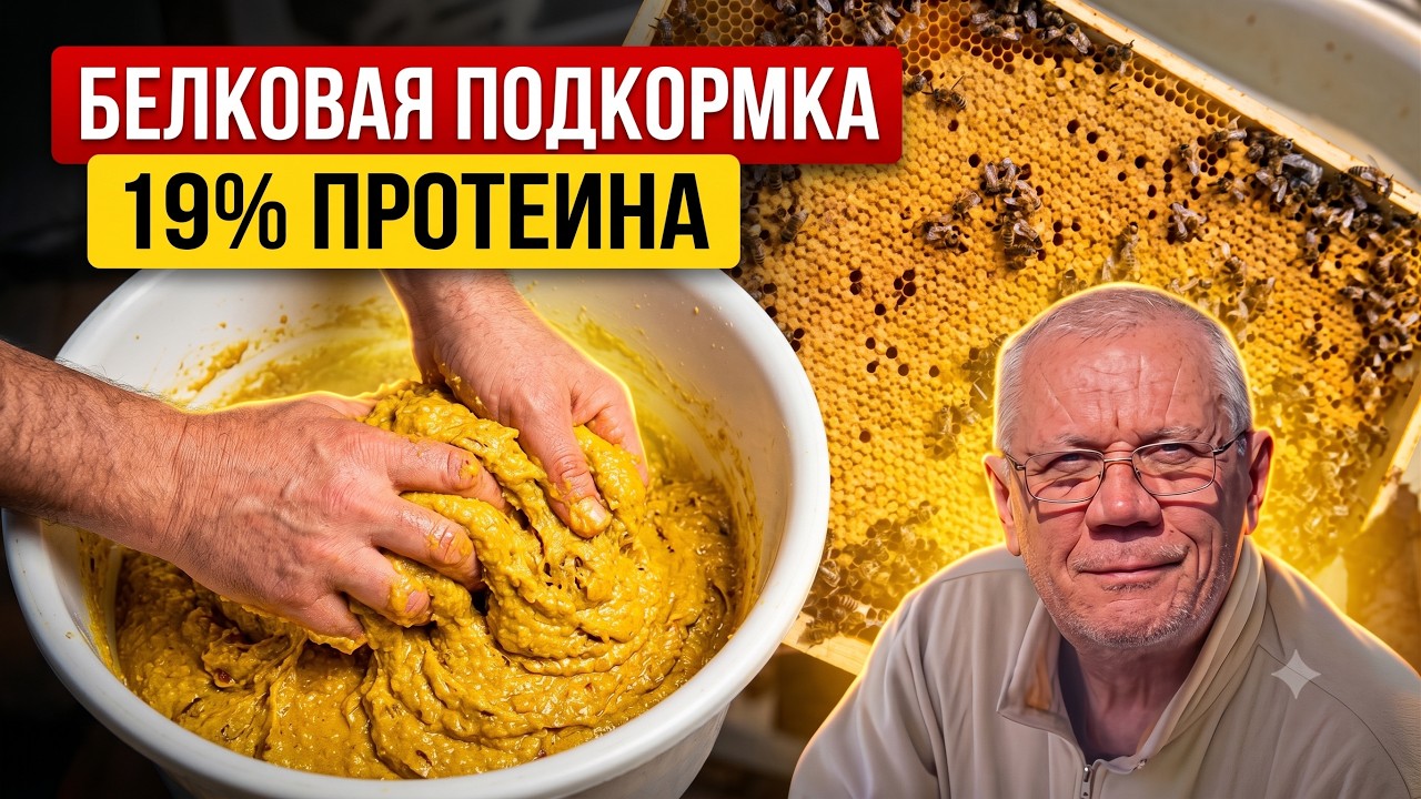 Белковая подкормка. УСКОРЬТЕ развитие своих пчел с помощью ЭТОГО рецепта белковой подкормки!