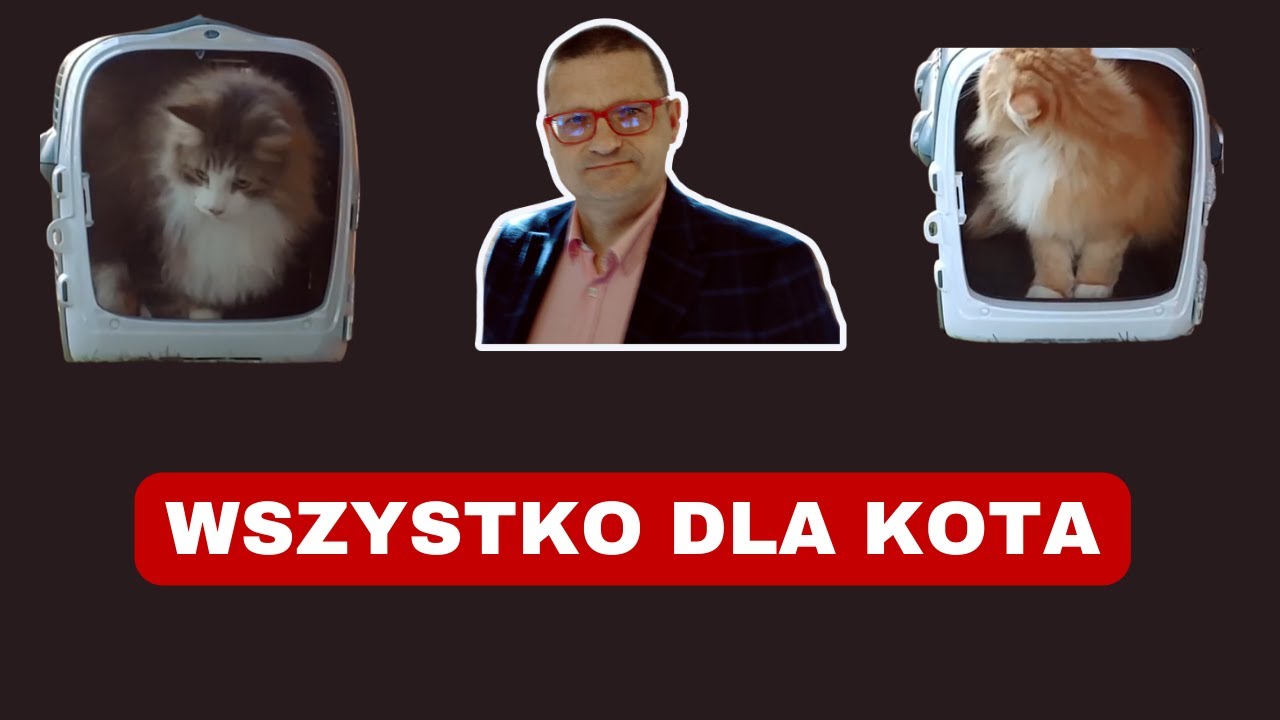 WSZYSTKO DLA KOTA. KABRIO.