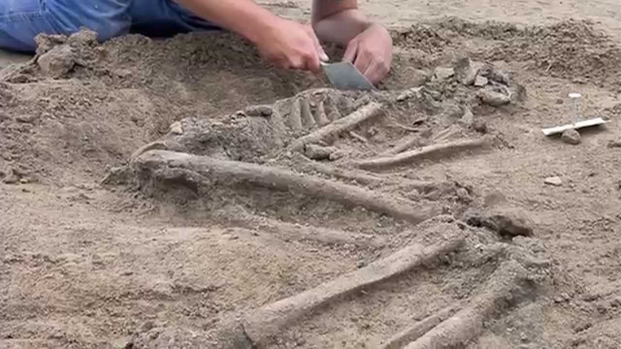 Archeologisch centrum van Nederland. Dorestad tot in de details doorgenomen (NWO Odyssee 25)