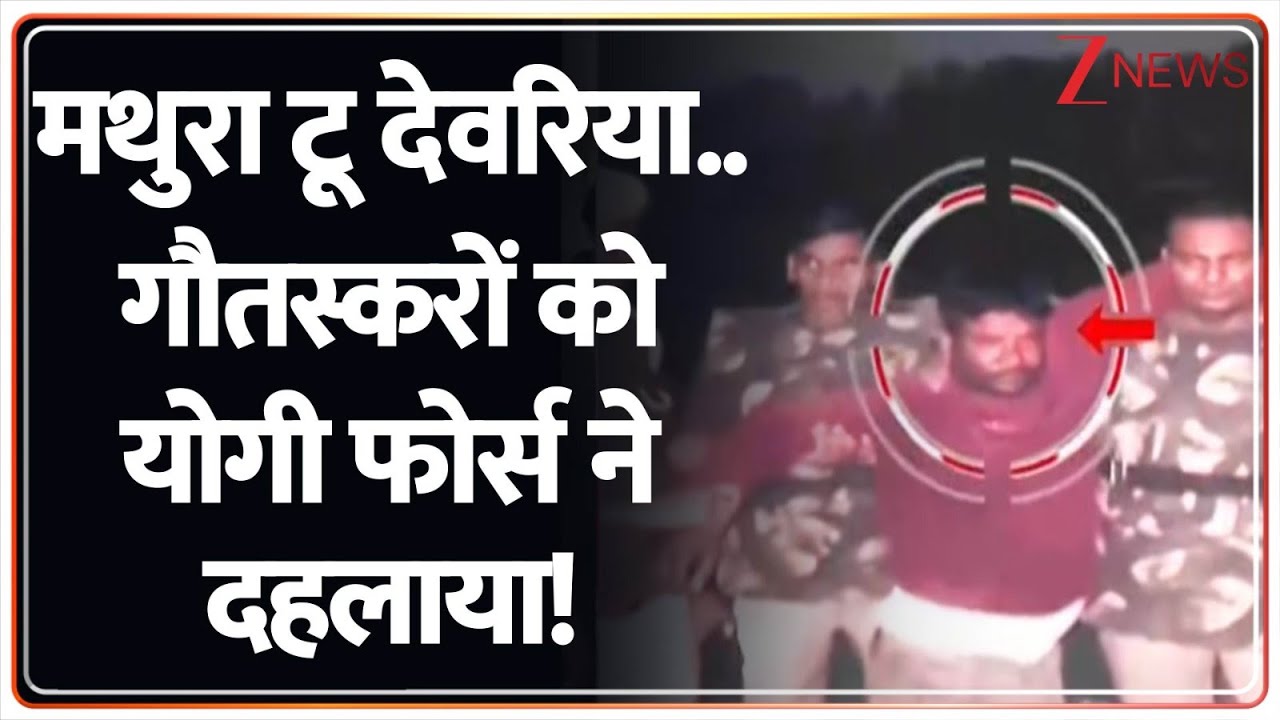 मथुरा टू देवरिया..गौतस्करों को योगी फोर्स ने दहलाया! | Cow Smugglers | CM Yogi | UP Police | UP News