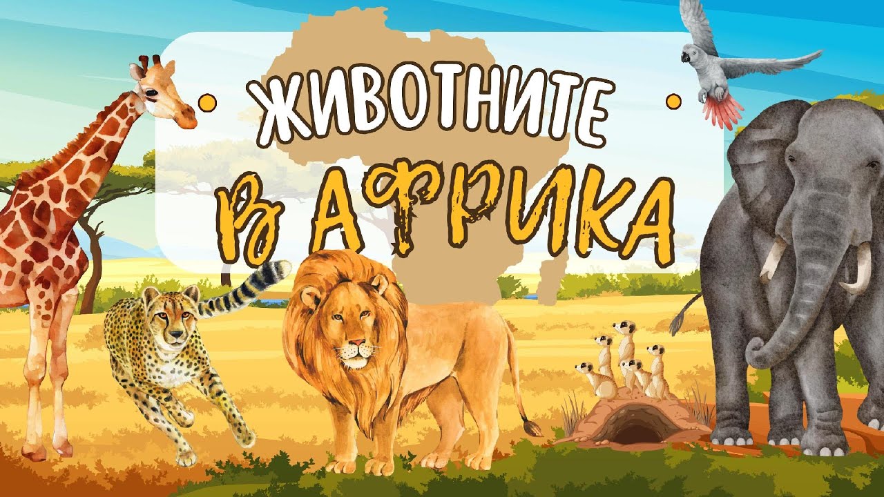Животните в Африка 🦁🐘🦏 | За най-малките
