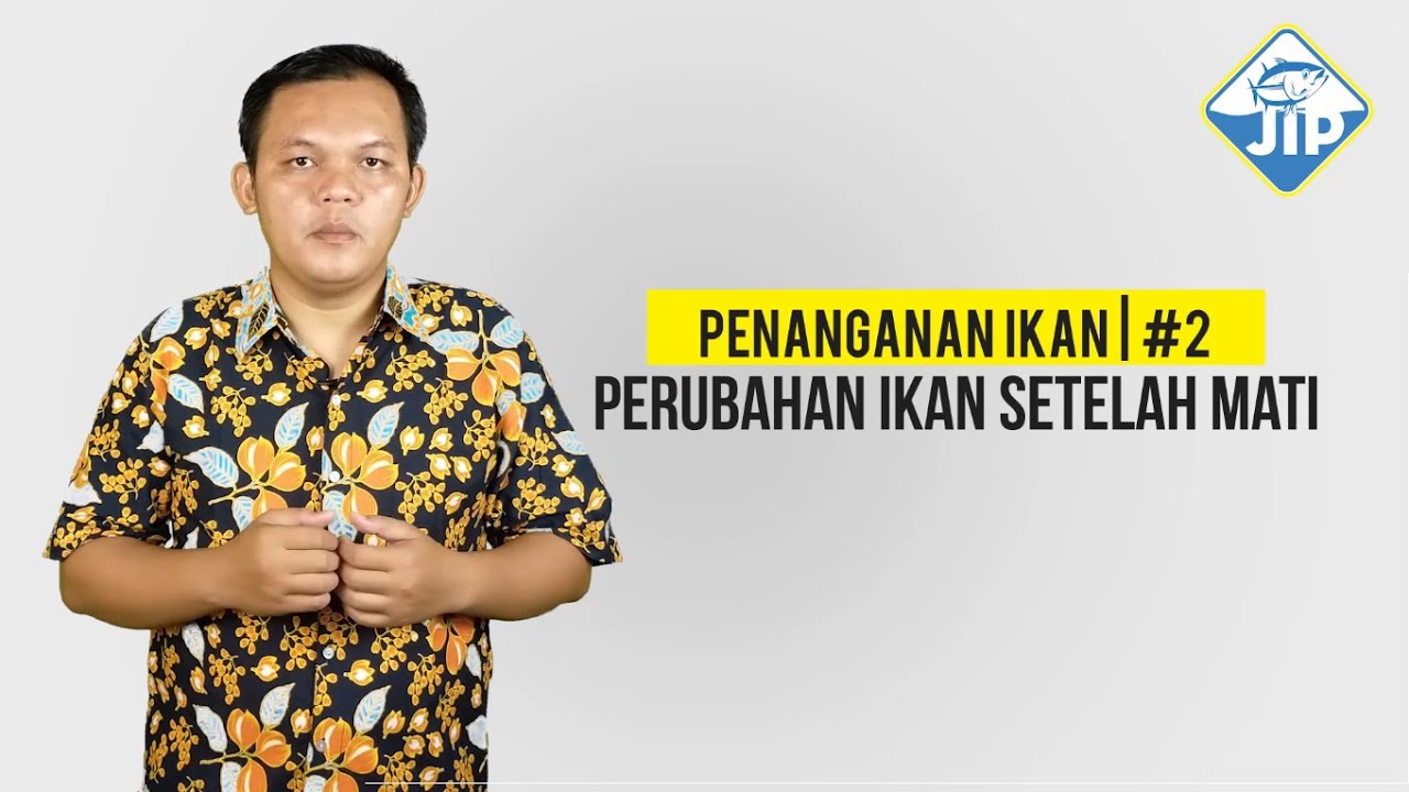Penanganan Ikan #2 | Perubahan Ikan Setelah Mati