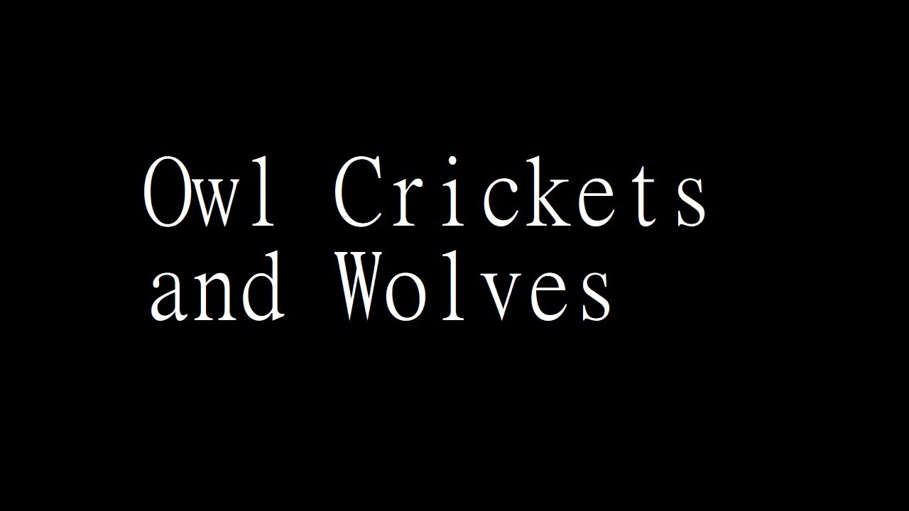 Owl Crickets and Wolves - black screen