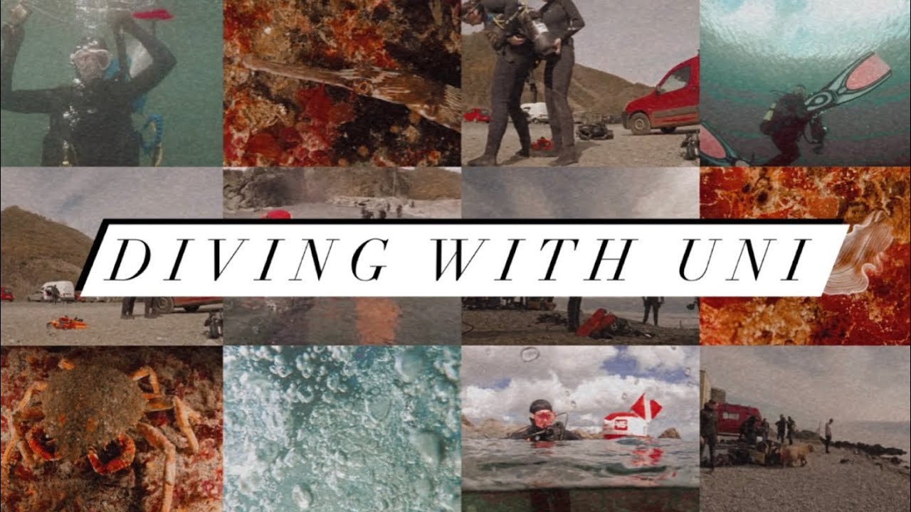 Scuba diving in Cornwall  | Uni Student Week Vlog | Falmouth University