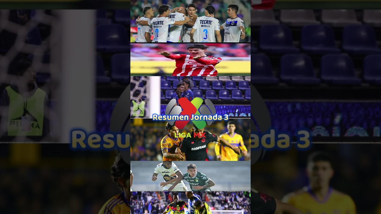 Resumen Jornada 3  