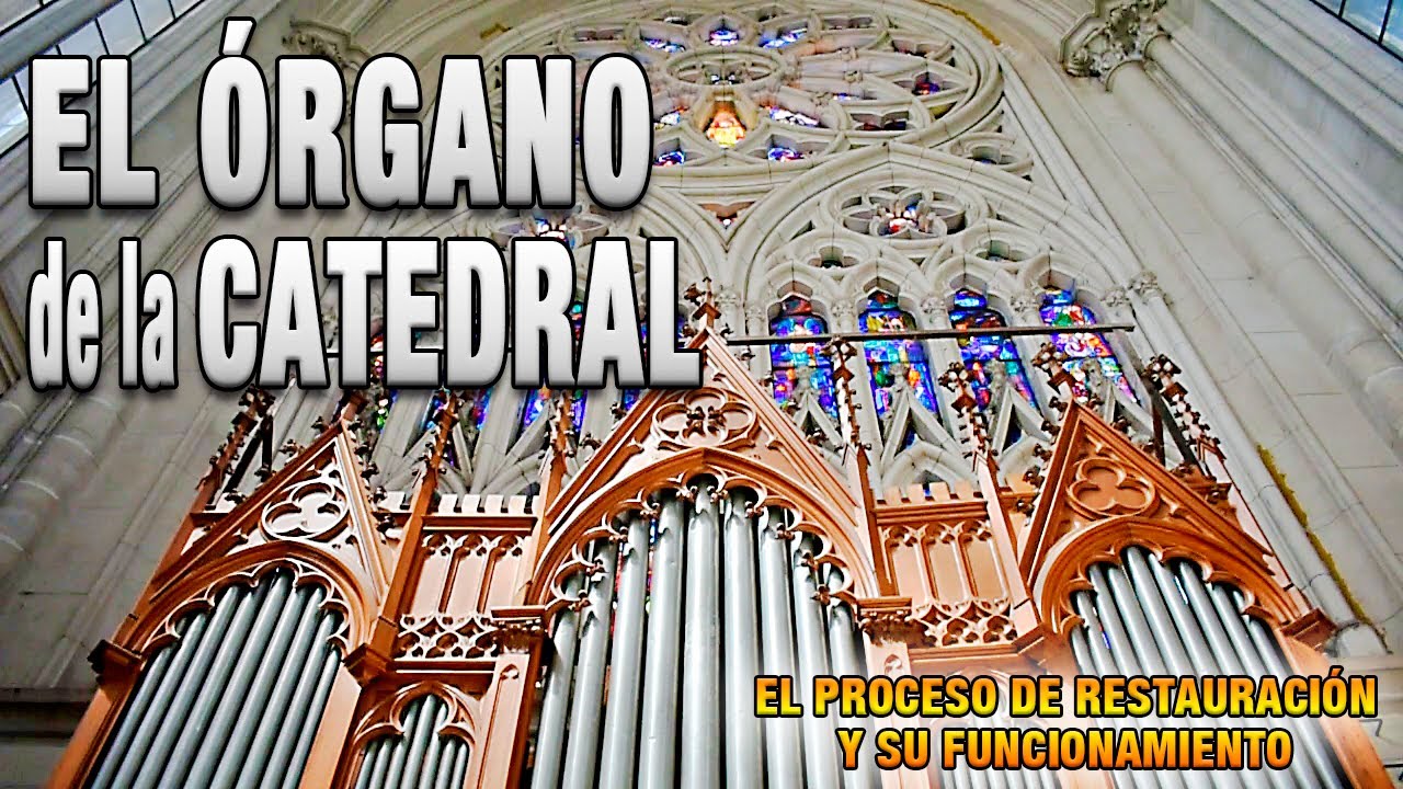 La Restauración Órgano Catedral Inmaculada Concepción de La Plata - Argentina - Año 2023