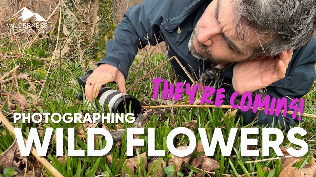 Photographing Wildflowers | A Walk In The Woods & Some Top Tips