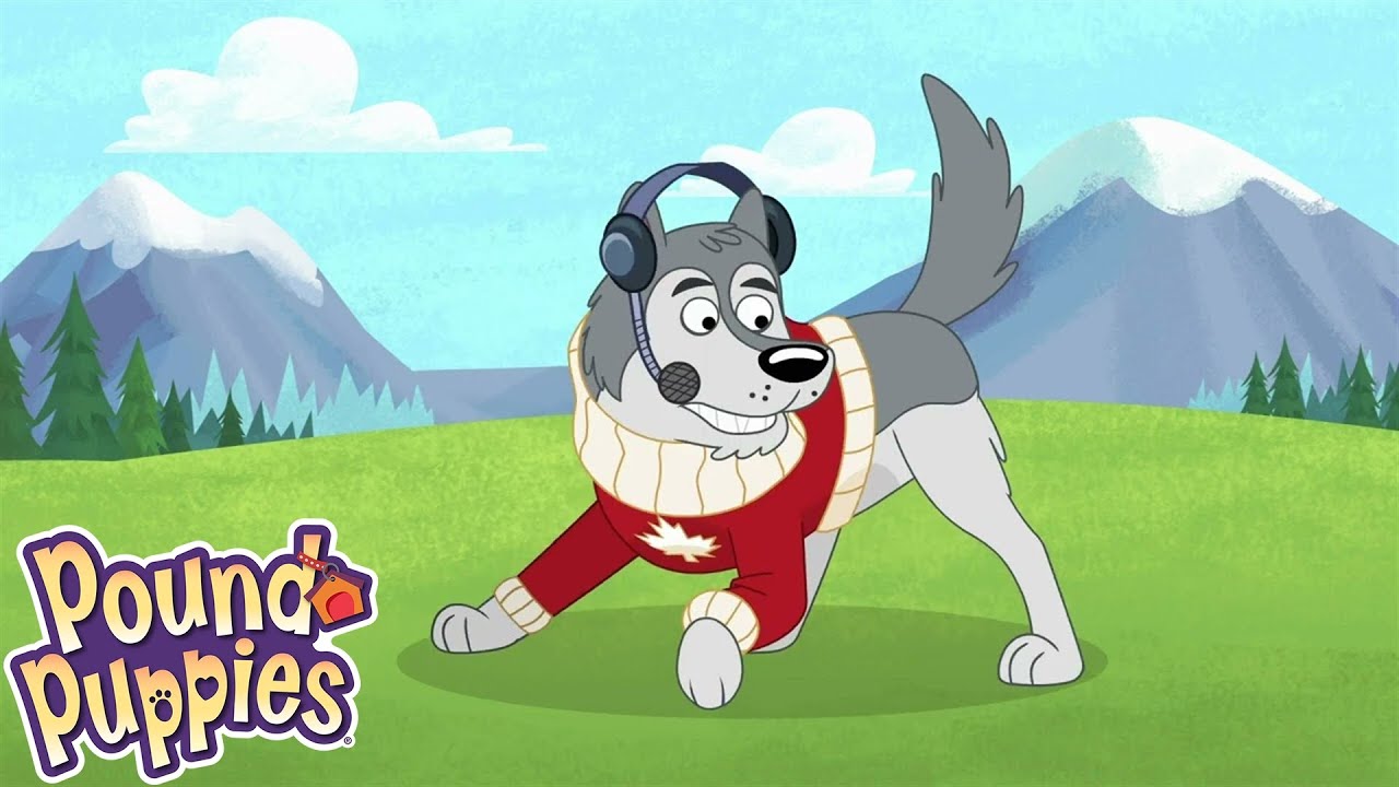 Pound Puppies | Homeward Pound | Season 1 | Pet Cartoon