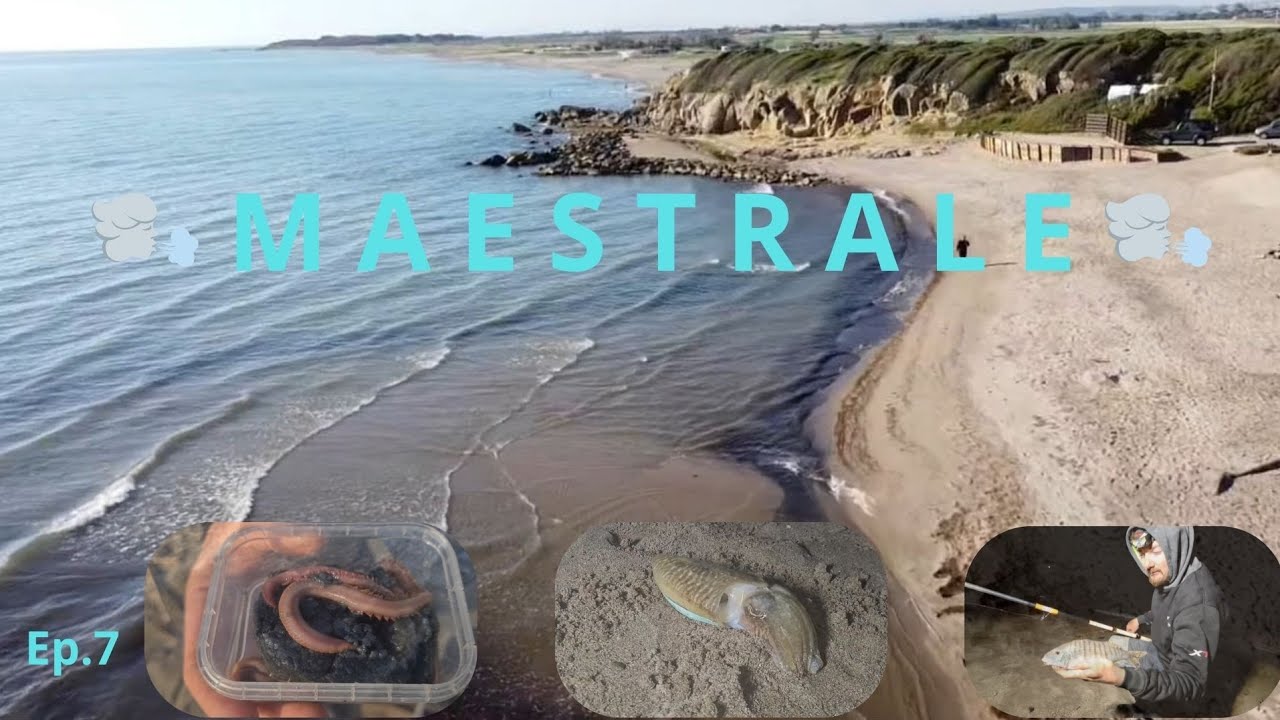 ABC Del Surfcasting -🌬 
