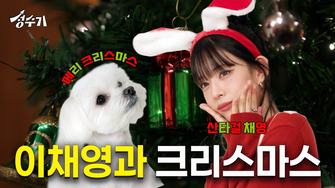 프로미스나인 채영의 최애 이휴지 등장? 내향인과 내향견의 크리스마스 데이트 [성수기 EP.21] l 크리스마스 l 반려동물 l 펫다이닝 l 강아지 커플 사진