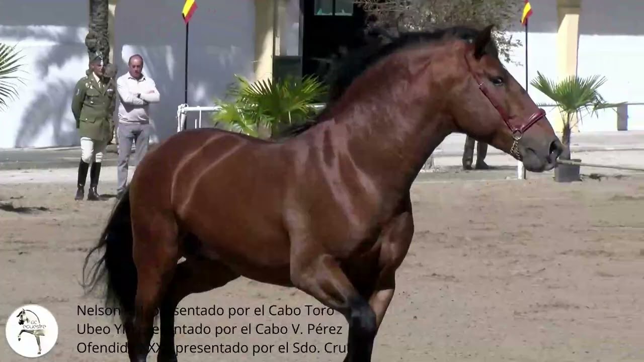 PRESENTACION SEMENTALES 2024 2