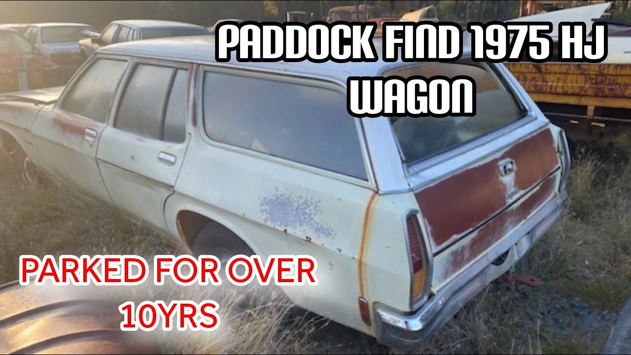 1975 HJ Wagon Paddock find #1