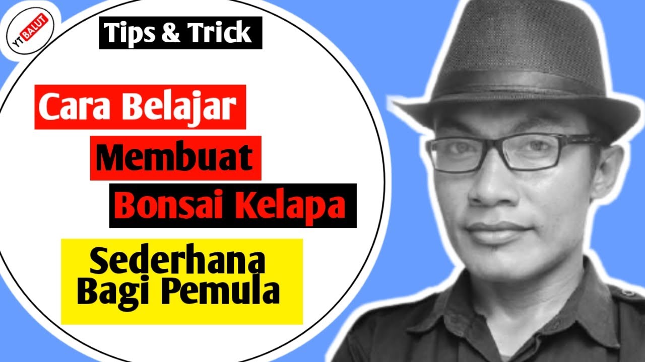 Cara Belajar Membuat Bongsai  Kelapa  Sederhana Bagi Pemula