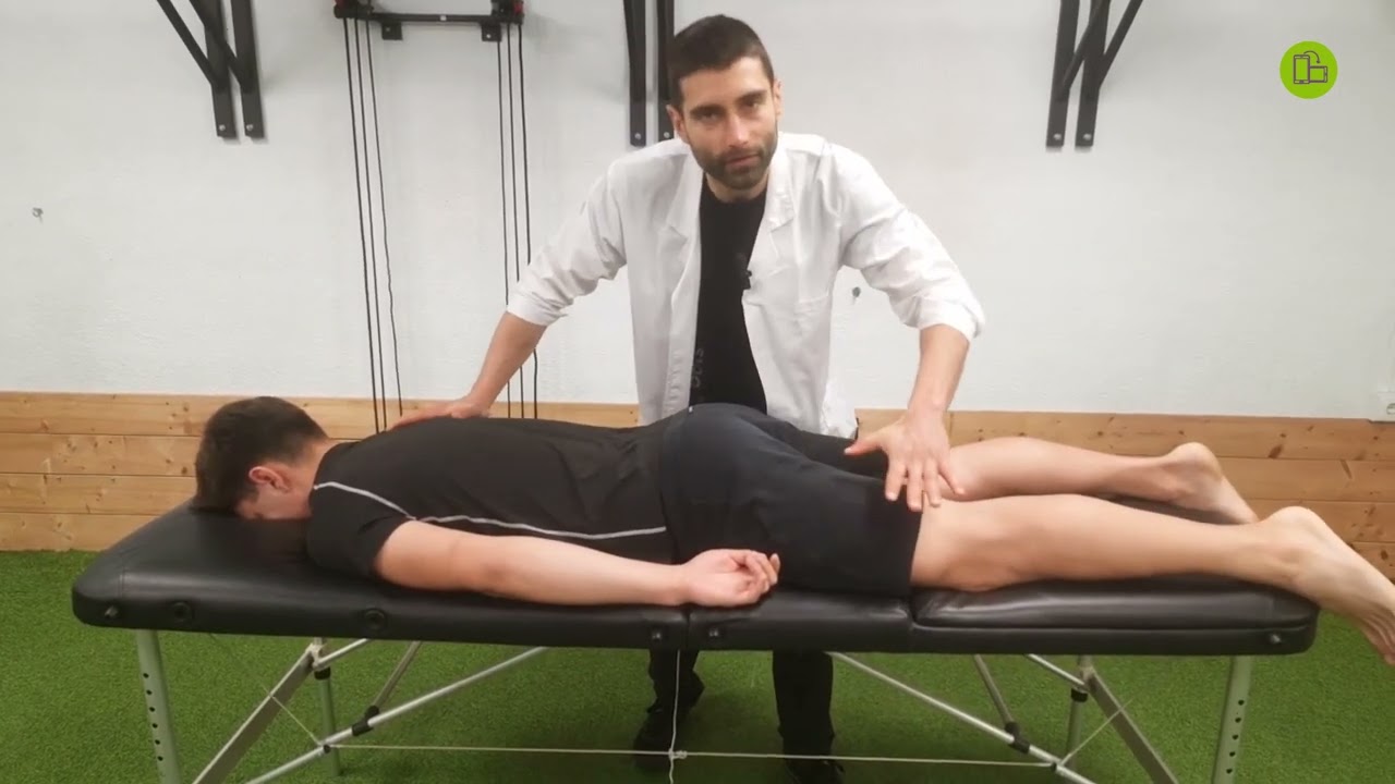🎓 Test de gl&uacute;teo mayor - Contenido Pro 👨&zwj;⚕⁣⁣