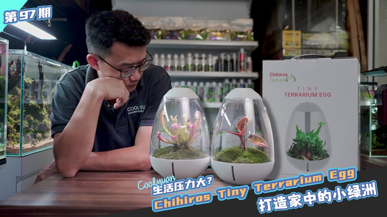 生活压力大？Chihiros Tiny Terrarium Egg打造家中的小绿州