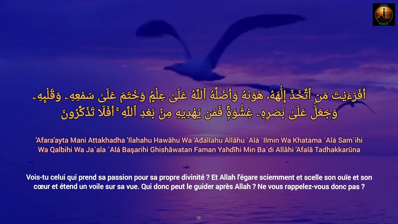 45 Sourate Al Jathya - L'Agenouillée (Français Arabe) Mishary Rashed Alafasy
