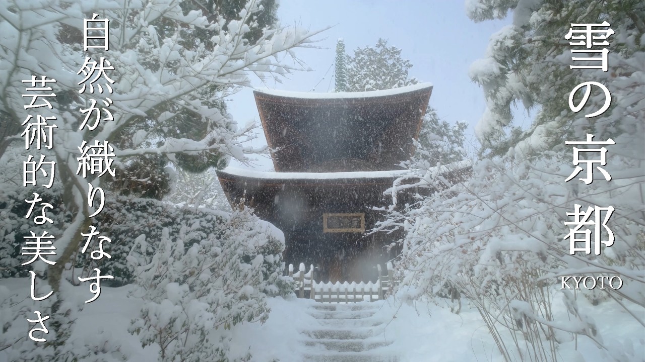 冬の嵐がつくった絶景  雪の花咲く静寂の京都 2025  Kyoto Snow