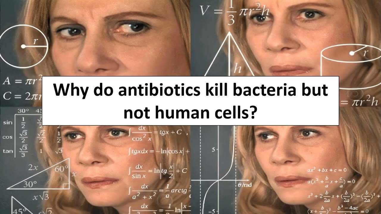 BIO110 microbes, pathogens, antibiotic resistance
