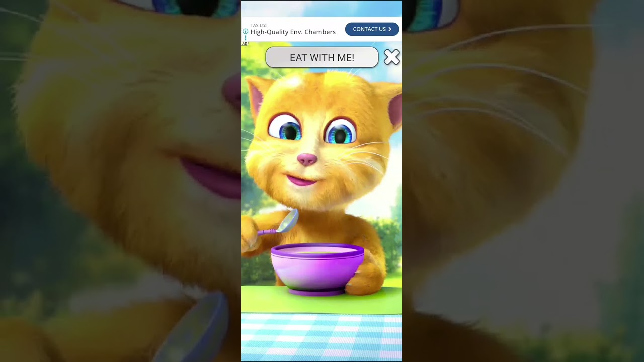 Talking Ginger 2👻 Talking Ginger Tom