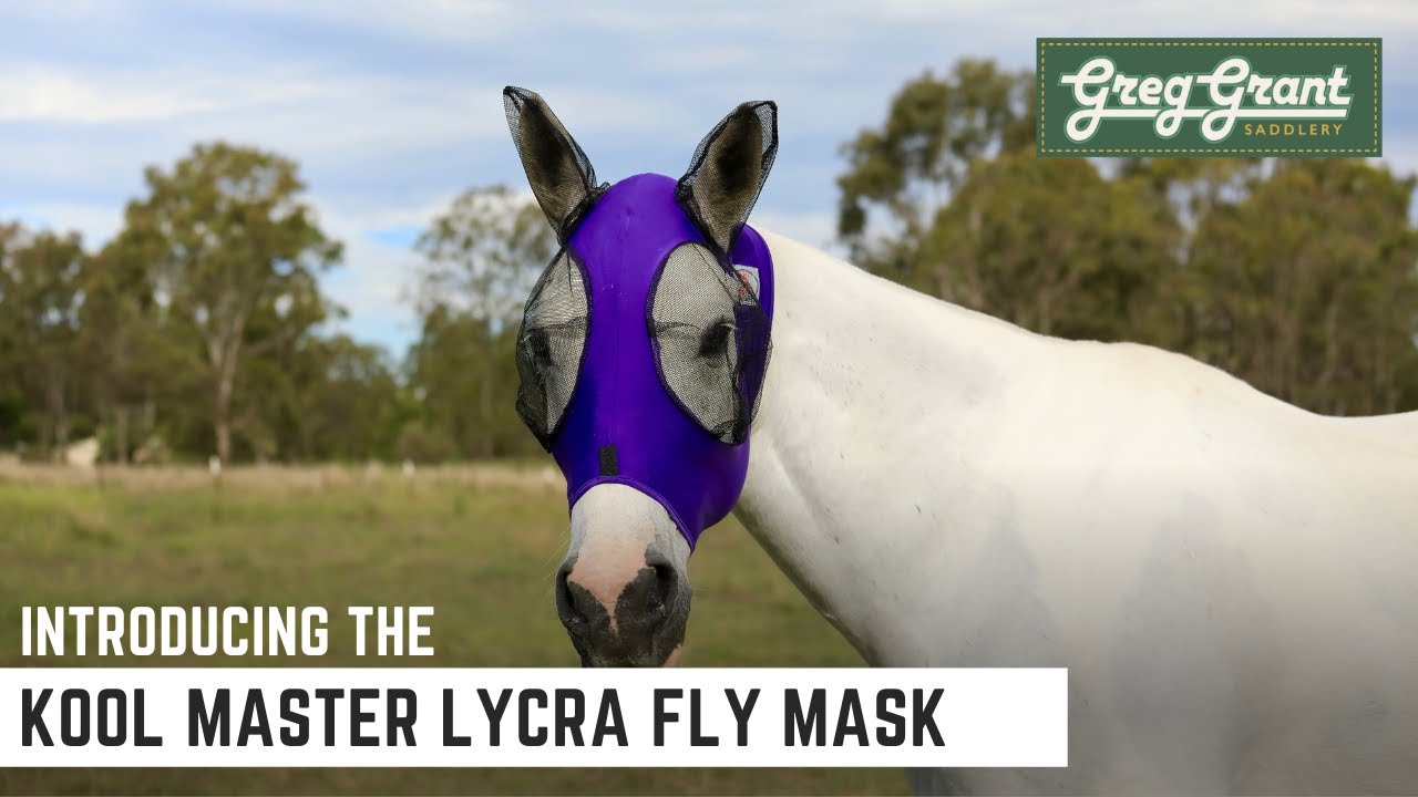 Представляем маску от мух Kool Master Lycra Fly Mask — Greg Grant Saddlery