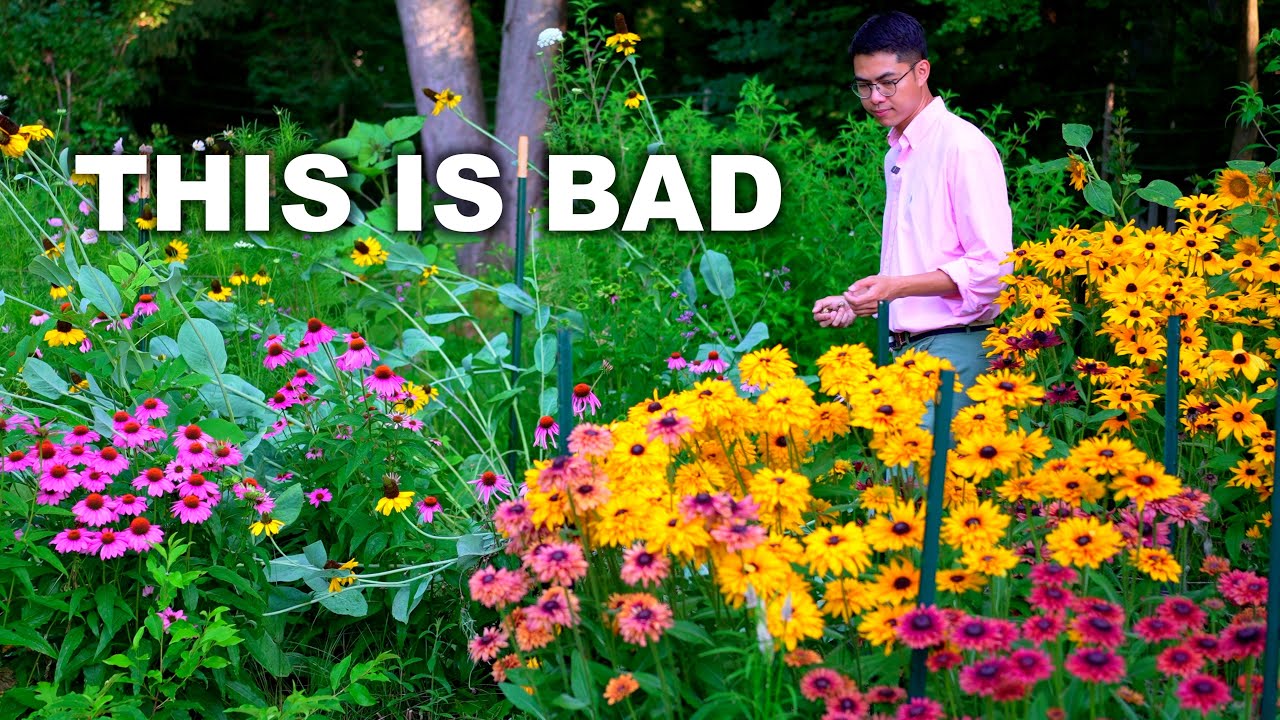 Flowers Blooming All Summer? Here's How