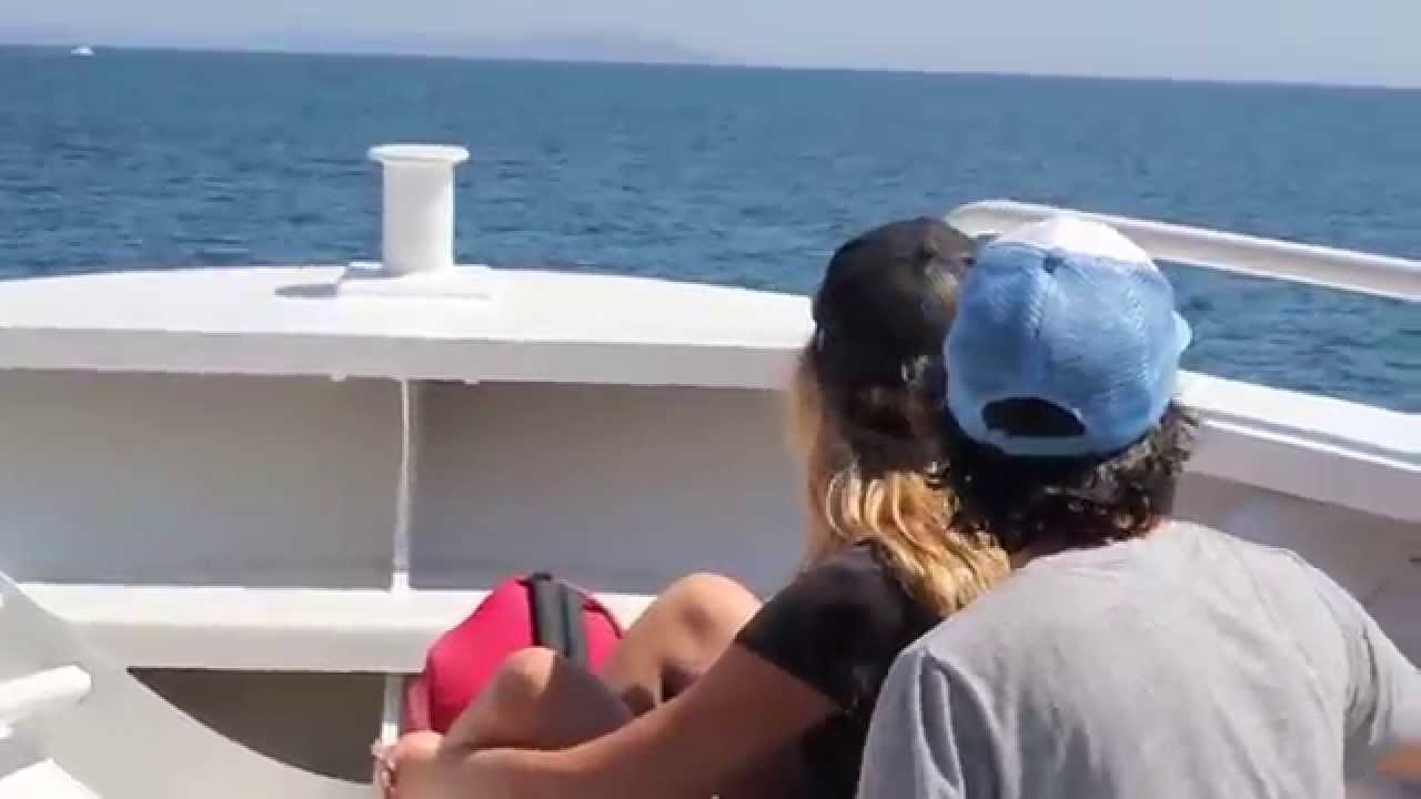 Sud de la France - Jour 3 : &Icirc;le de Port-Cros