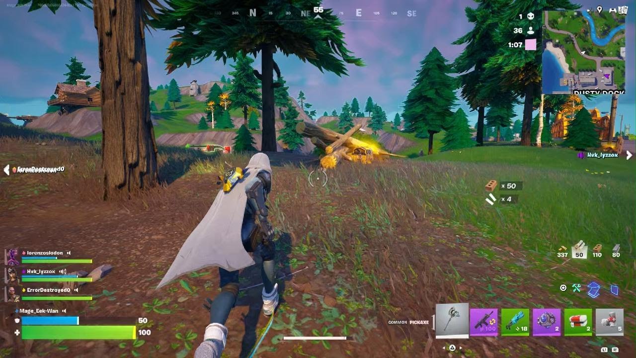Fortnite Win..