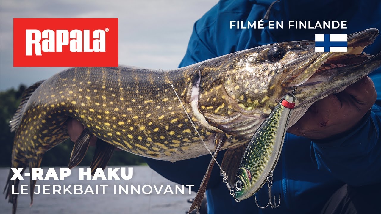 X-Rap Haku : Le jerkbait innovant